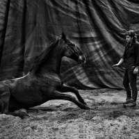 Anastasia Taylor-Lind & Camilla Naprous – The Devil’s Horsemen