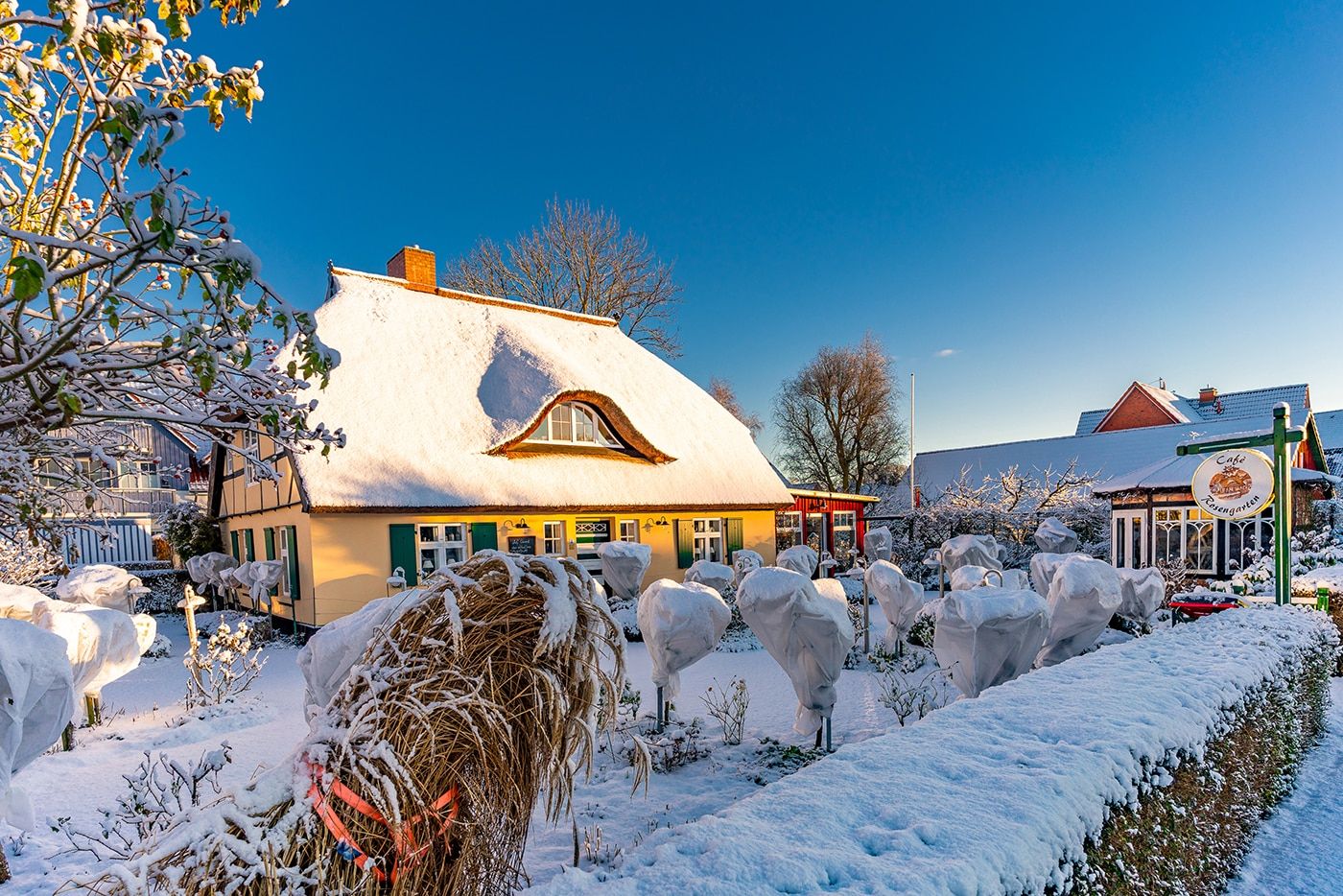 Verschneites Reetdachhaus im Ostseeheilbad Zingst