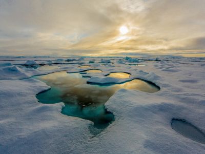 Behind the Arctic Science