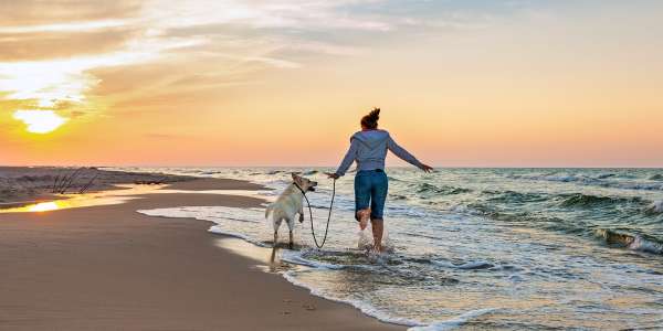 Urlaub mit Hund an der Ostsee