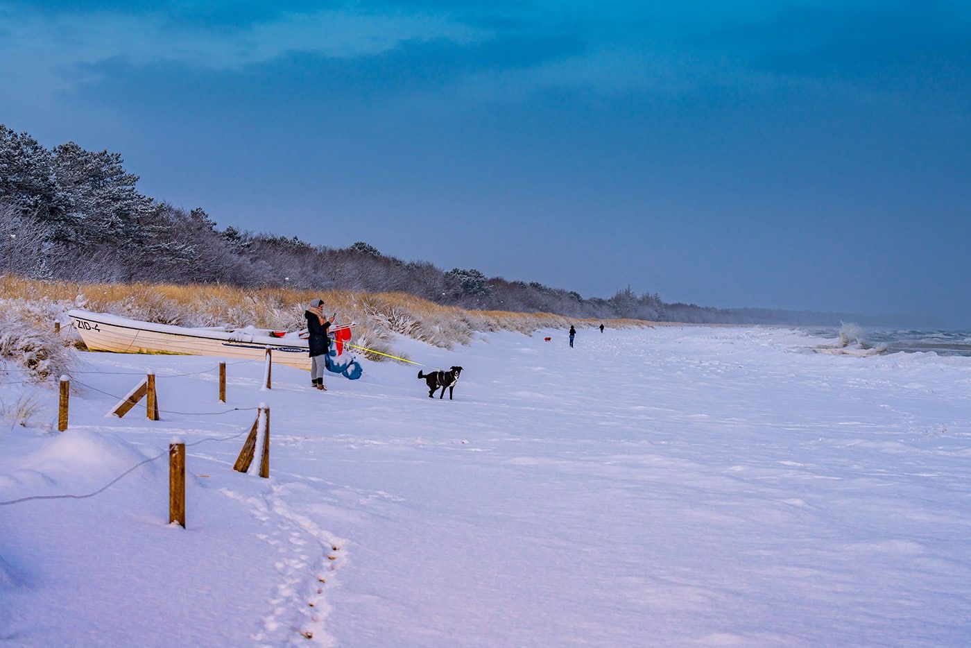 Im Winter können Hund und Herrchen gemeinsam den gesamten Strand genießen.
