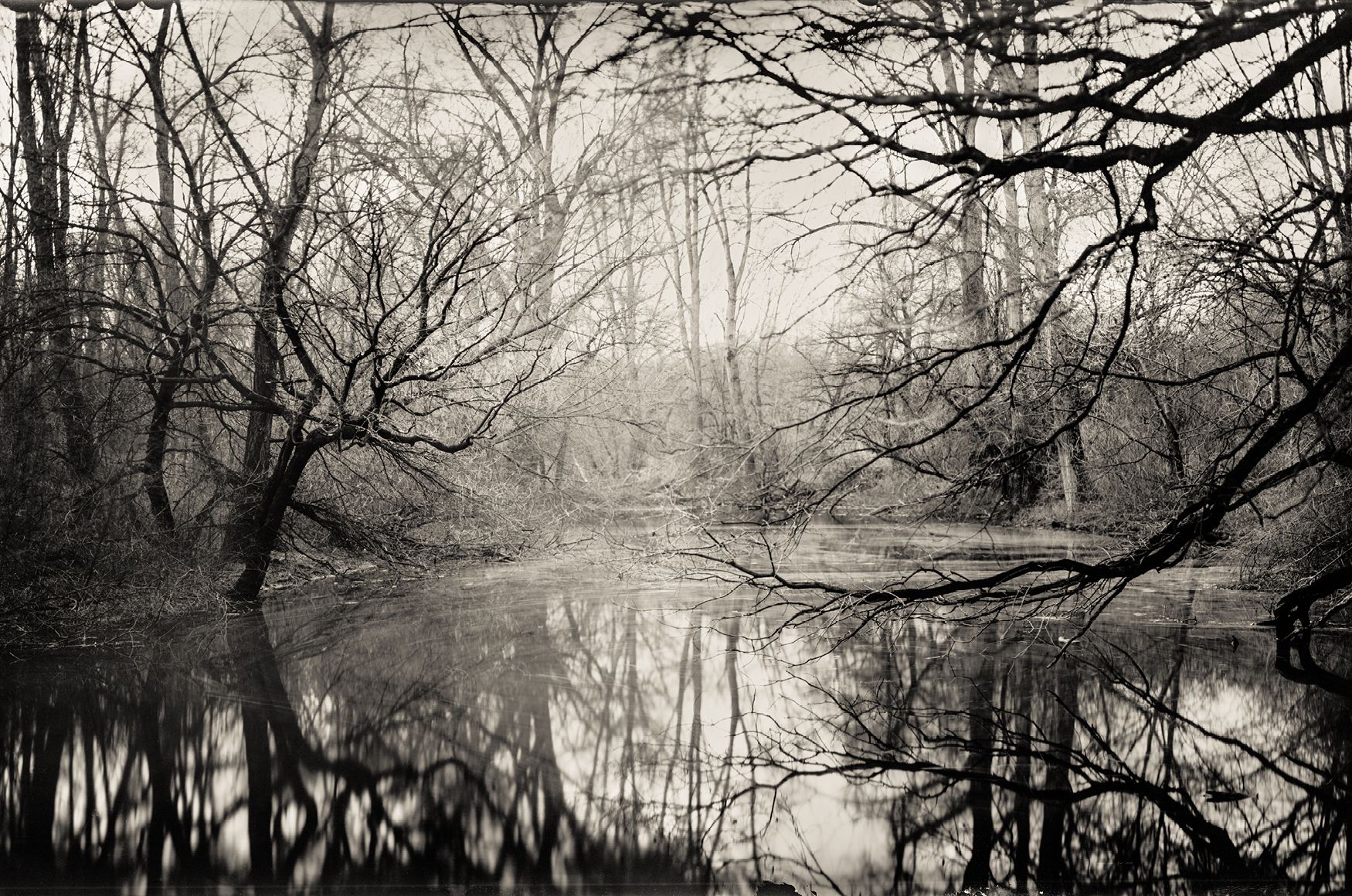 Landschaftsfotografie mit Teich im Herbstwald